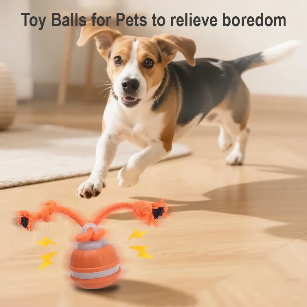 Cat Dog Interactive Ball Toy Automatic Rolling Ball Faux Tail Rechargeable Smart Pet Electric Toy Dog Cat Training Imitate Mouse